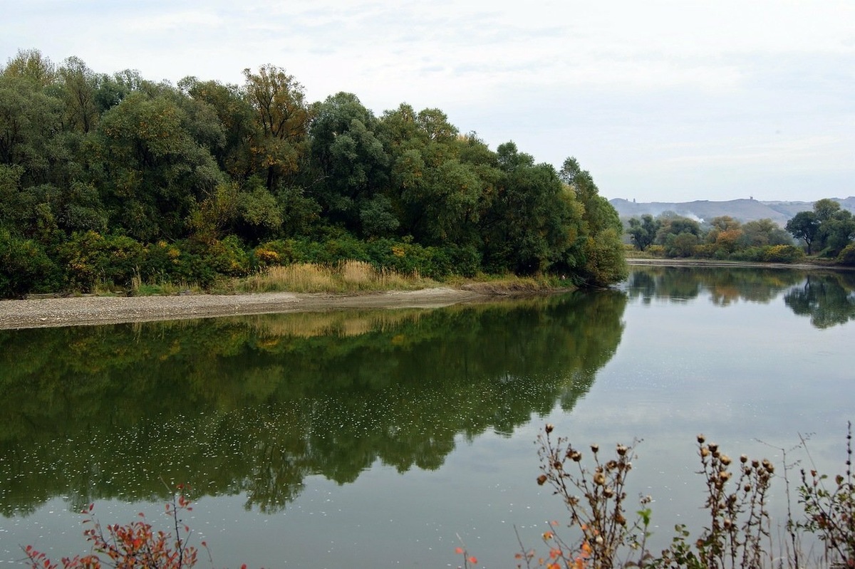 Кубань впадает в Темрюкский залив в Краснодарском крае. Фото: Сикорский Игорь / Яндекс Карты
