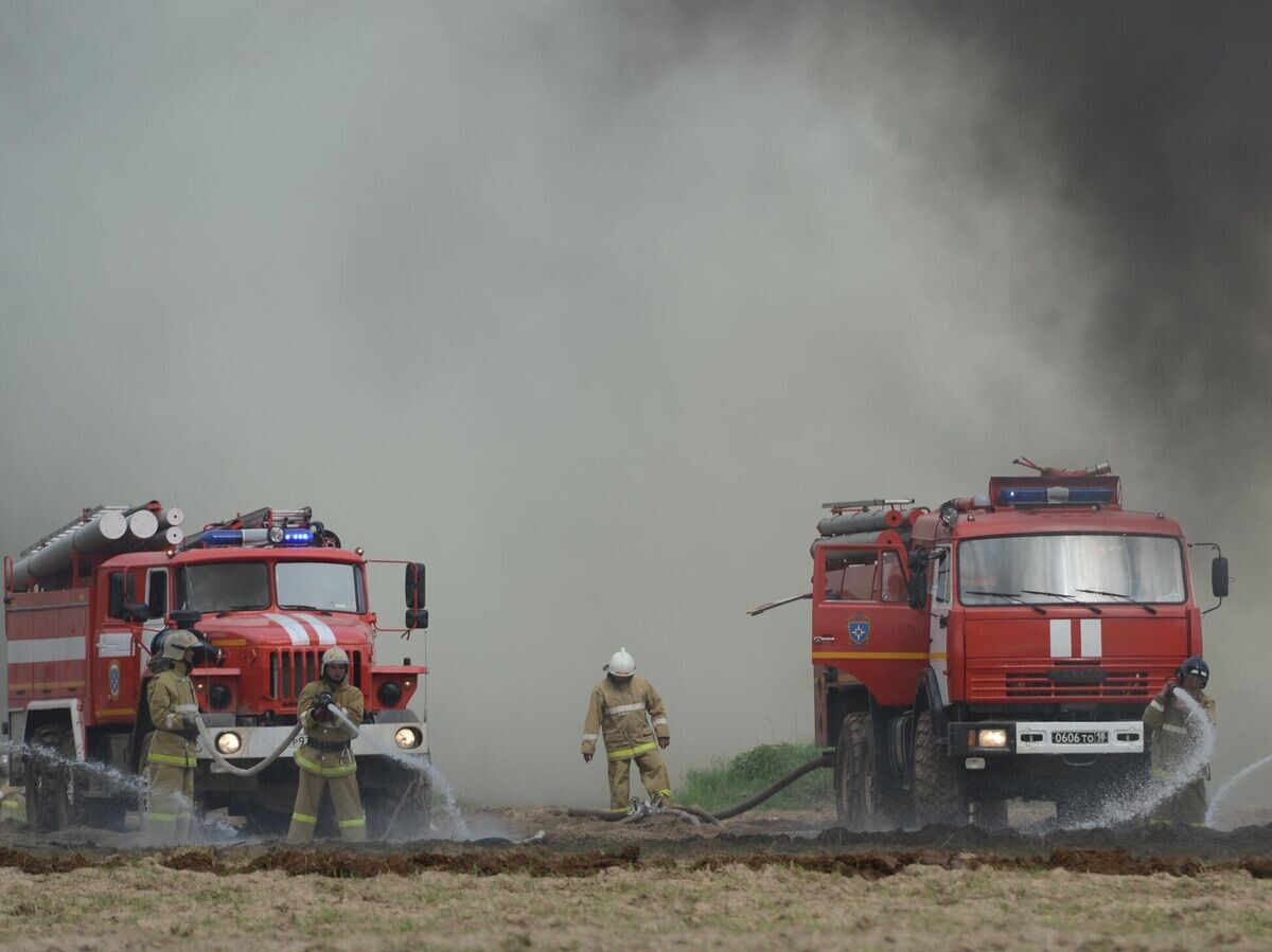    Масштабные тактико-специальные учения МЧС по ликвидации лесных и торфяных пожаров в Ногинском районе Московской области© РИА Новости / Григорий Сысоев