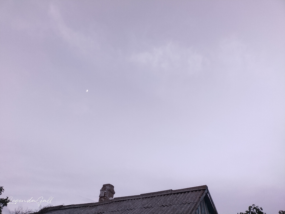 Месяц в ясном небе