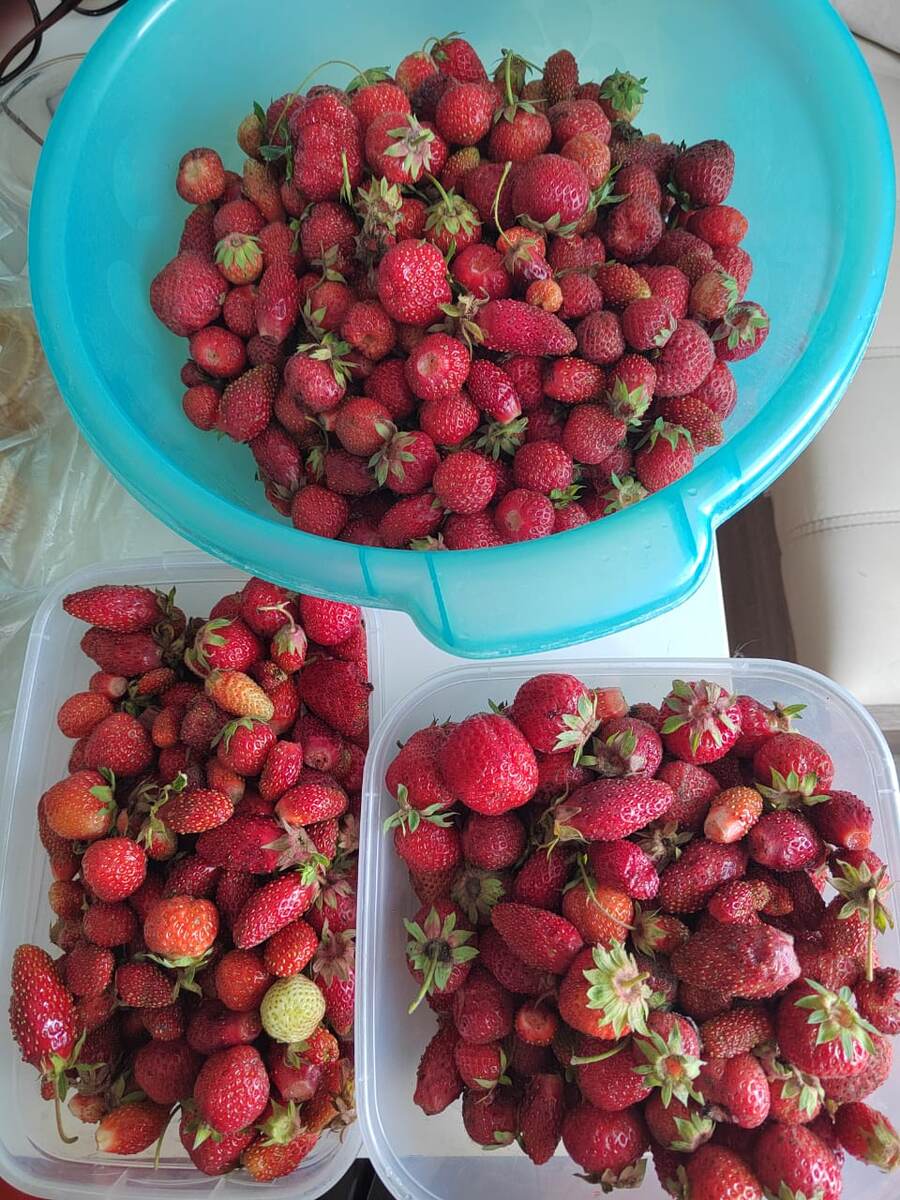 Фото автора канала. 