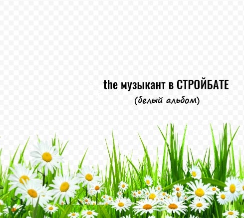 Сон автора. Фото автора.