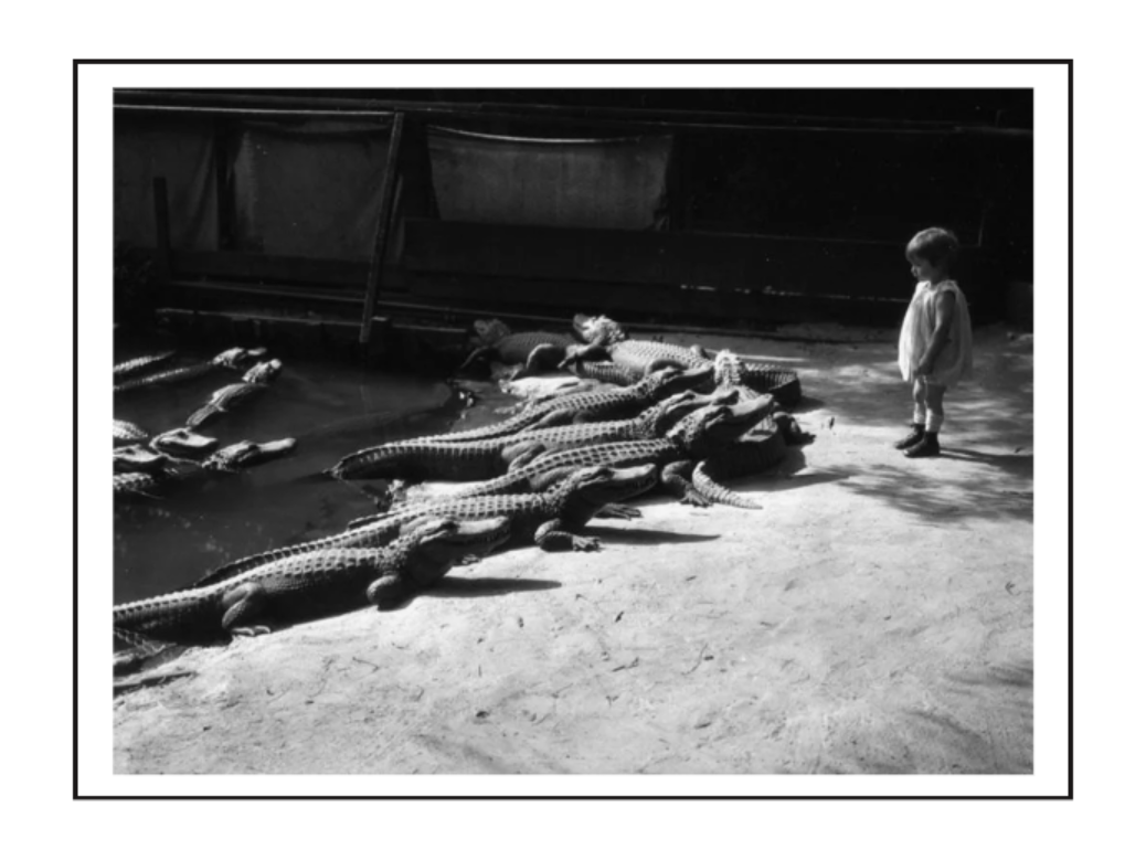 США, фото 1940-х годов
