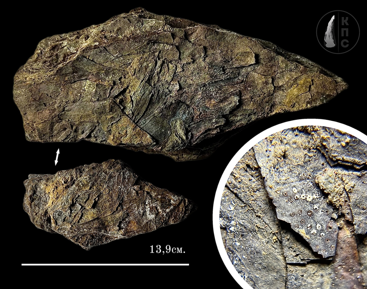 Шугурия. Фото Даниила Портнягина