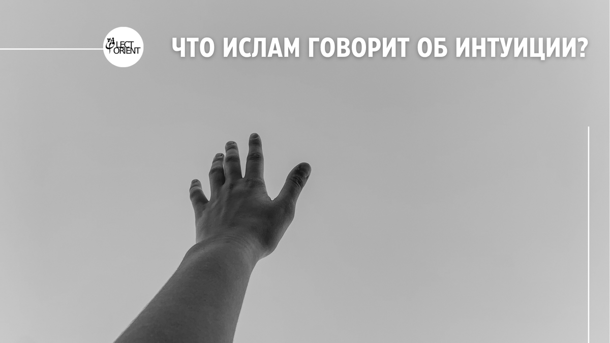 Фото взято из открытого фотостока Canva