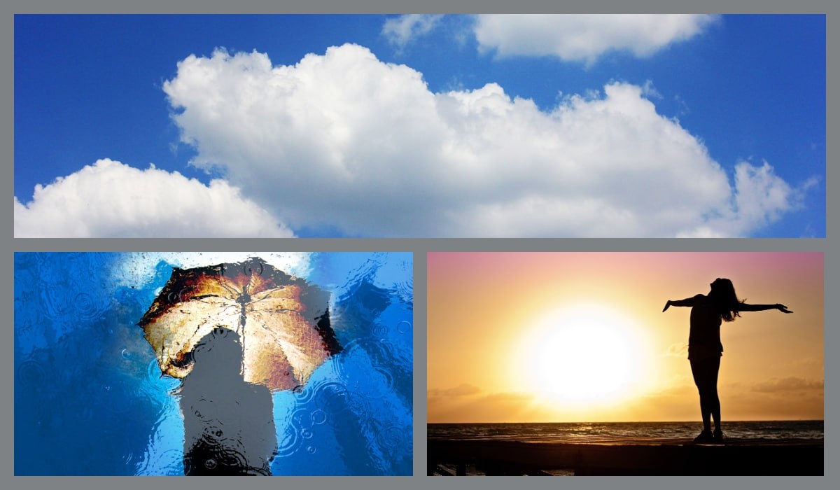 Коллаж: pixabay.com