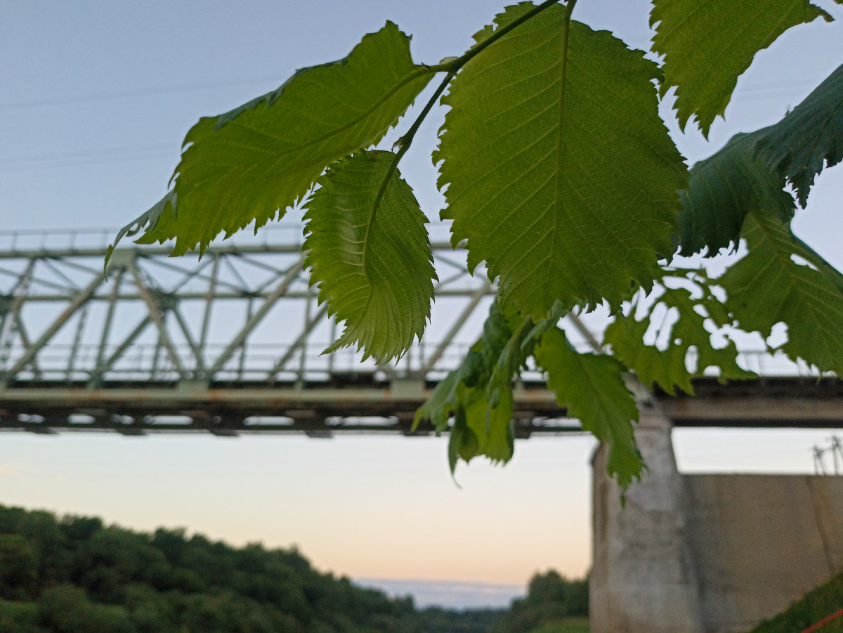 Железнодорожный мост через Днепр