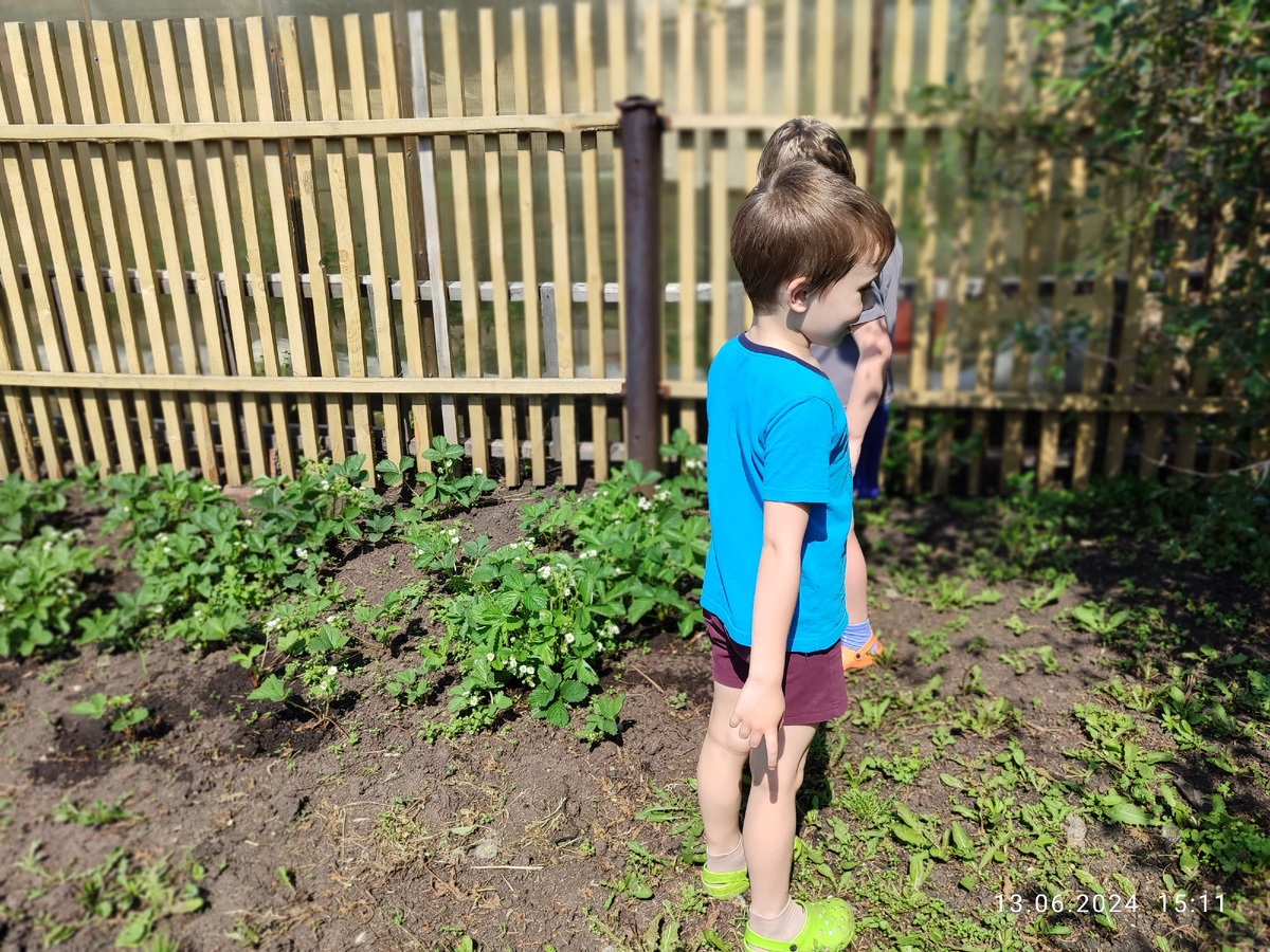 Паша что-то заясняет Вадиму. Вадим разглядывает крапиву за вишней