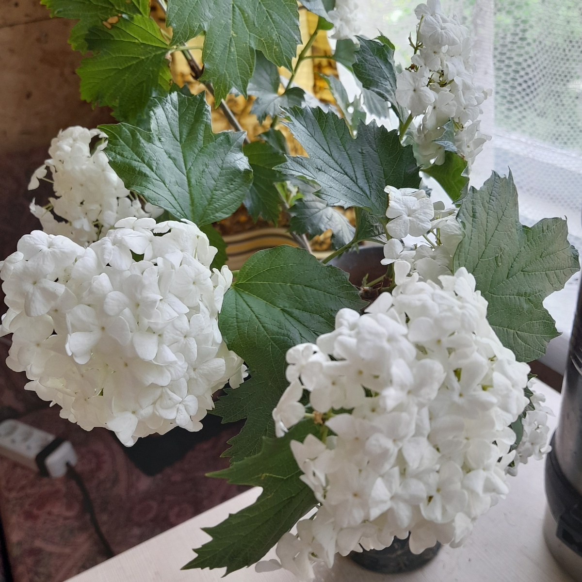 Фото автора. Бульденеж