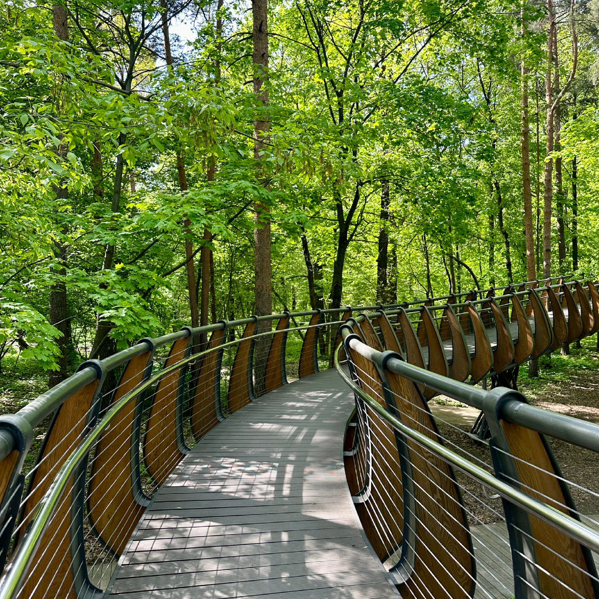 Мое главное оружие против стресса - это пешие прогулки