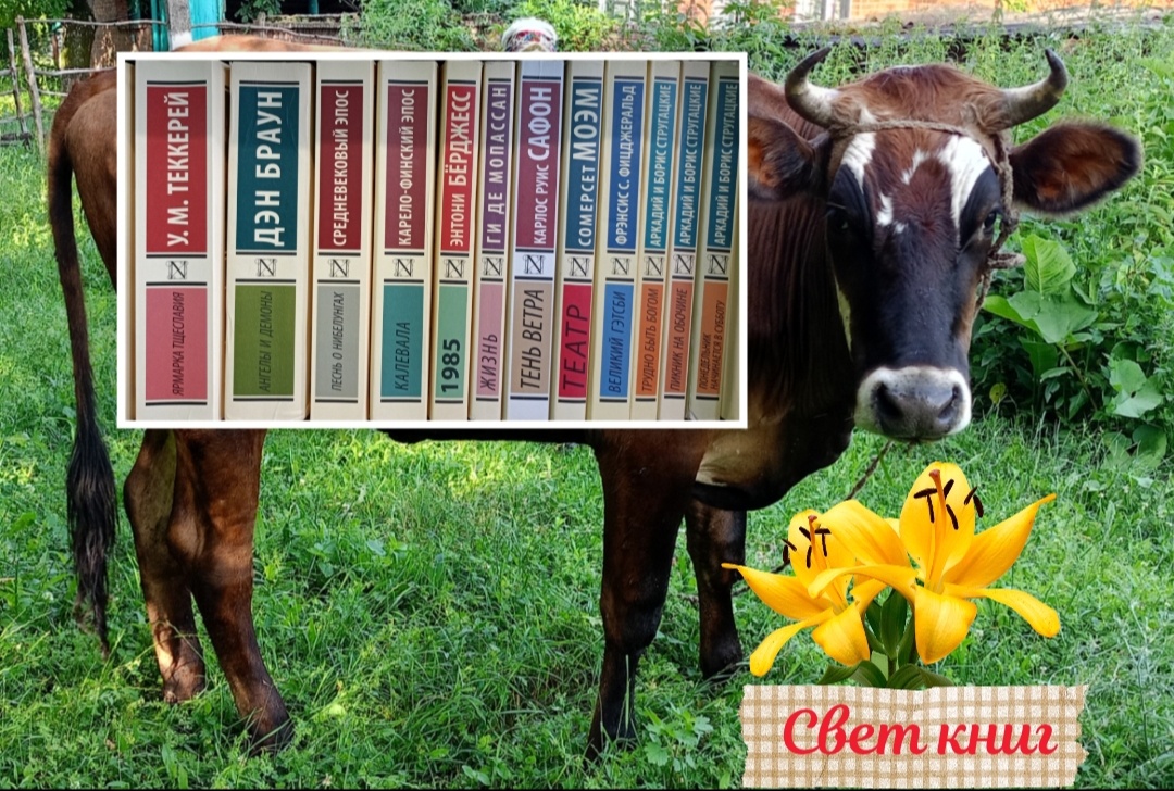 Фото автора.