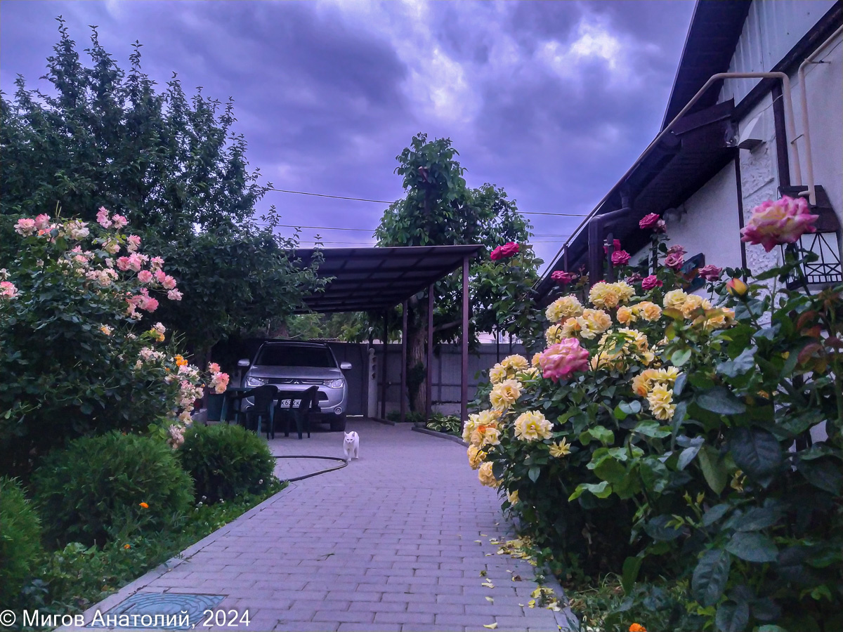 Ночью гремело и сверкало, но стихия обошла нас стороной | Дневник ...