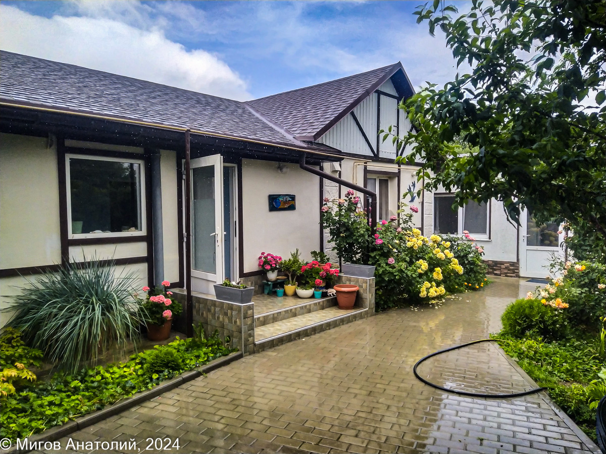 Ночью гремело и сверкало, но стихия обошла нас стороной | Дневник ...