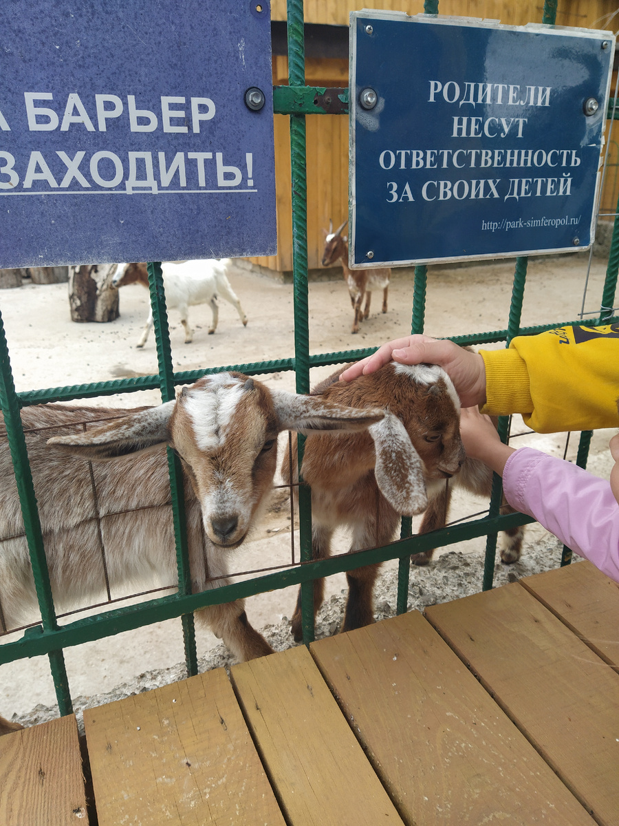 Детский Крым. СИМФЕРОПОЛЬ | Арина МорЭ | Дзен