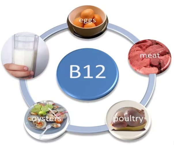 Рис 2. Некоторые продукты, содержащие витамин B12. Больше всего витамина содержится в печени и почках животных, а так же в мясе и молочных продуктах.