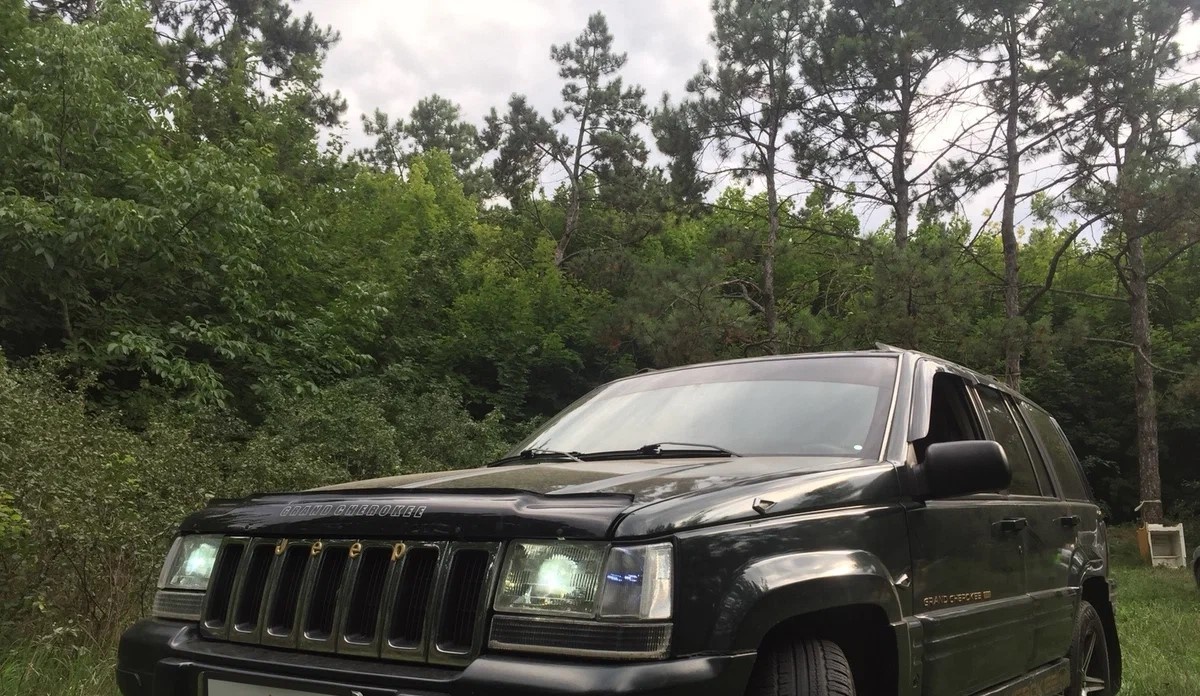 Из свободного доступа