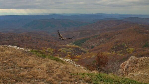    © Фото: страница Григория Прокопова ВКонтакте