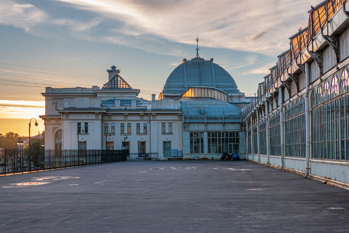 Павловский парк - лучший парк для прогулок | Фотограф Алексей Николаев |  Дзен