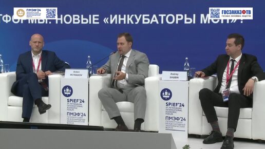 ПМЭФ 2024: Цифровые платформы: новые «инкубаторы МСП»? Петраков Антон, Яндекс.Такси