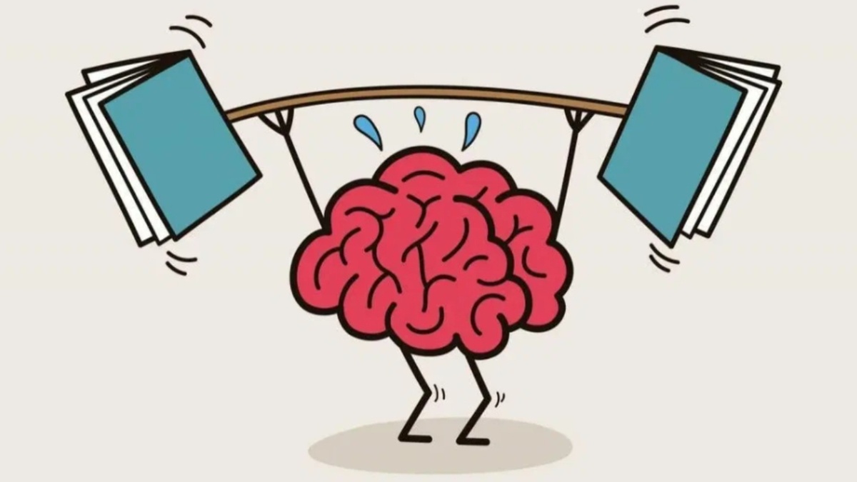 Фото из интернета.