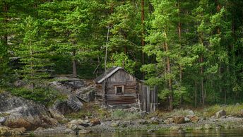 ПРЕСТУПНИК В ТАЙГЕ. Страшные истории про Деревню! Истории на ночь. Мистика. Сибирь.