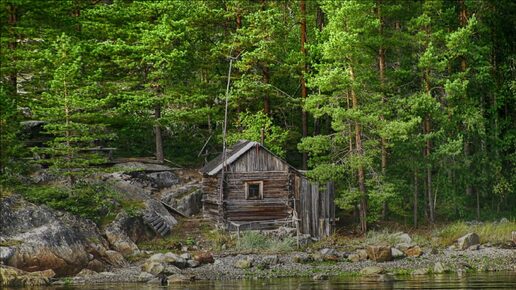 ПРЕСТУПНИК В ТАЙГЕ. Страшные истории про Деревню! Истории на ночь. Мистика. Сибирь.