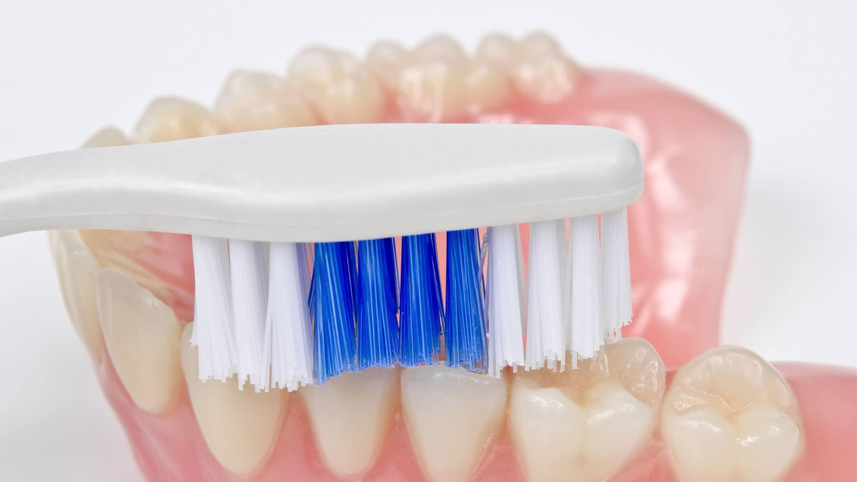 Фотография взята из источника yandex.ru