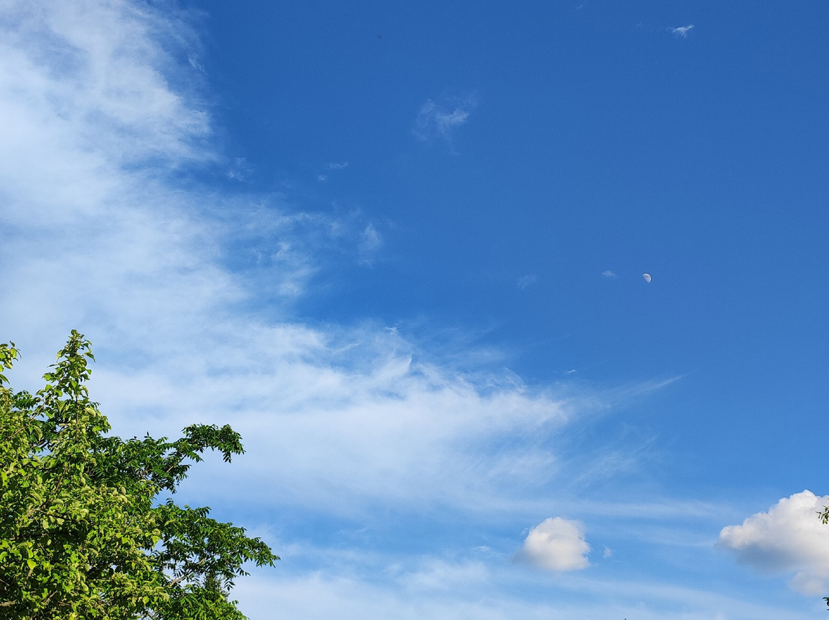 Луна днём 15 июня 2024 года, фото О. Ягольницер