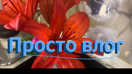 Просто влог! Обо всем и ни о чем!🤪