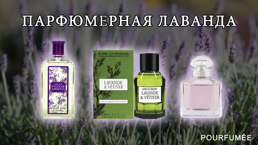 Lavander & Vetiver JEANNE EN PROVENCE | Mon Guerlain | Valentino Uomo | Русская лаванда Новая Заря