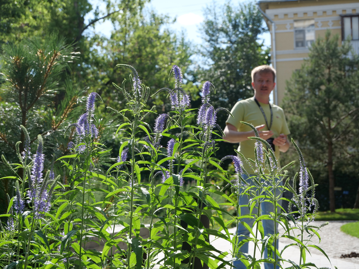 Константин Андреев и вероникаструм