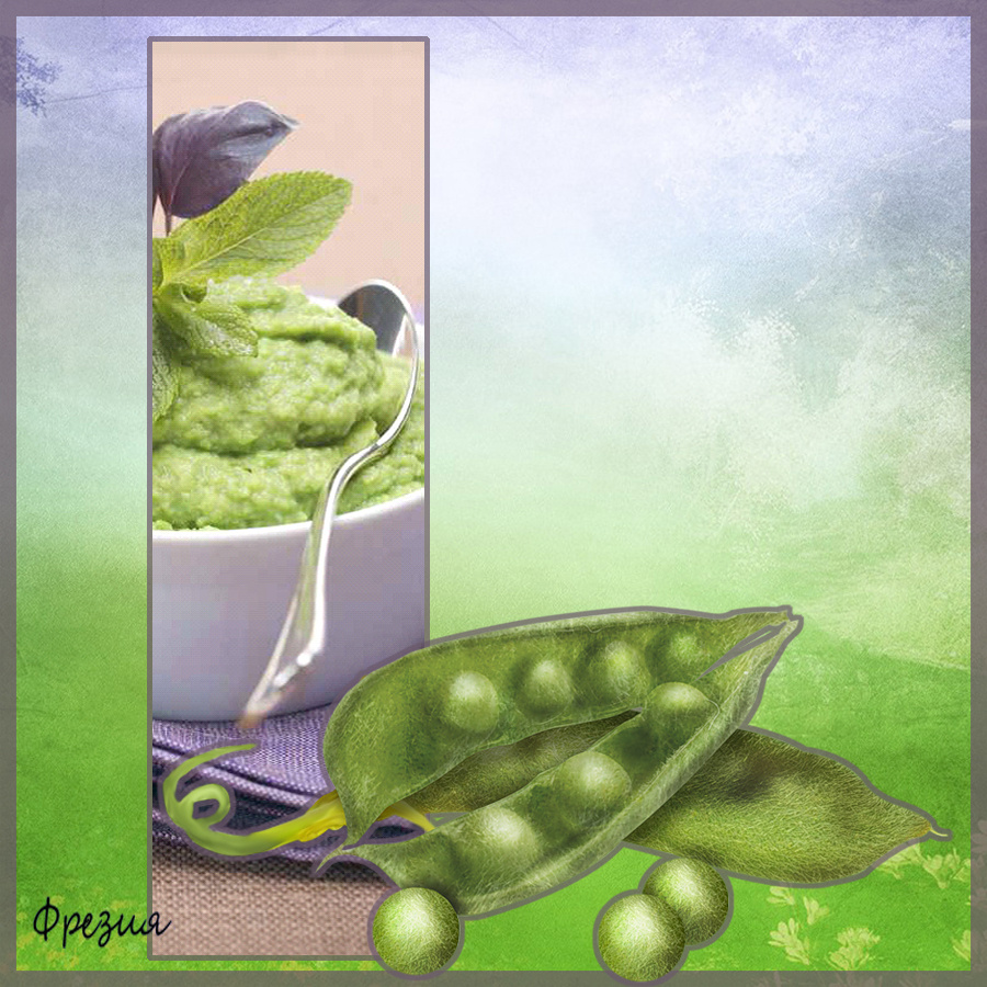 Изображения принадлежит автору (Фрезия)