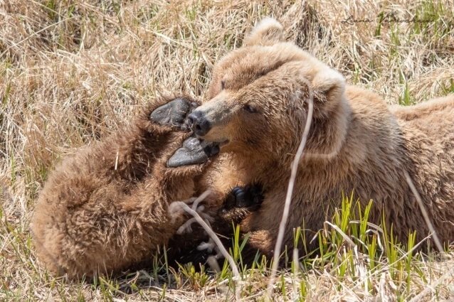    Фото: Из личного архивa/ Лиана Варавская