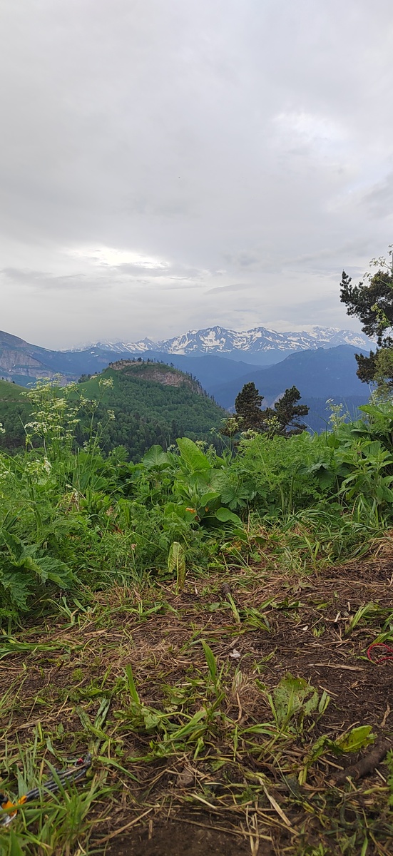 Вид из палатки на Алоус, рядом с ним справа гряда Псеашко! 