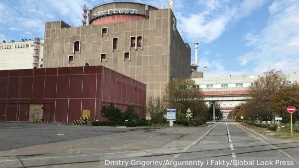     Фото: Dmitry Grigoriev/Argumenty i Fakty/Global Look Press   
 Текст: Антон Антонов