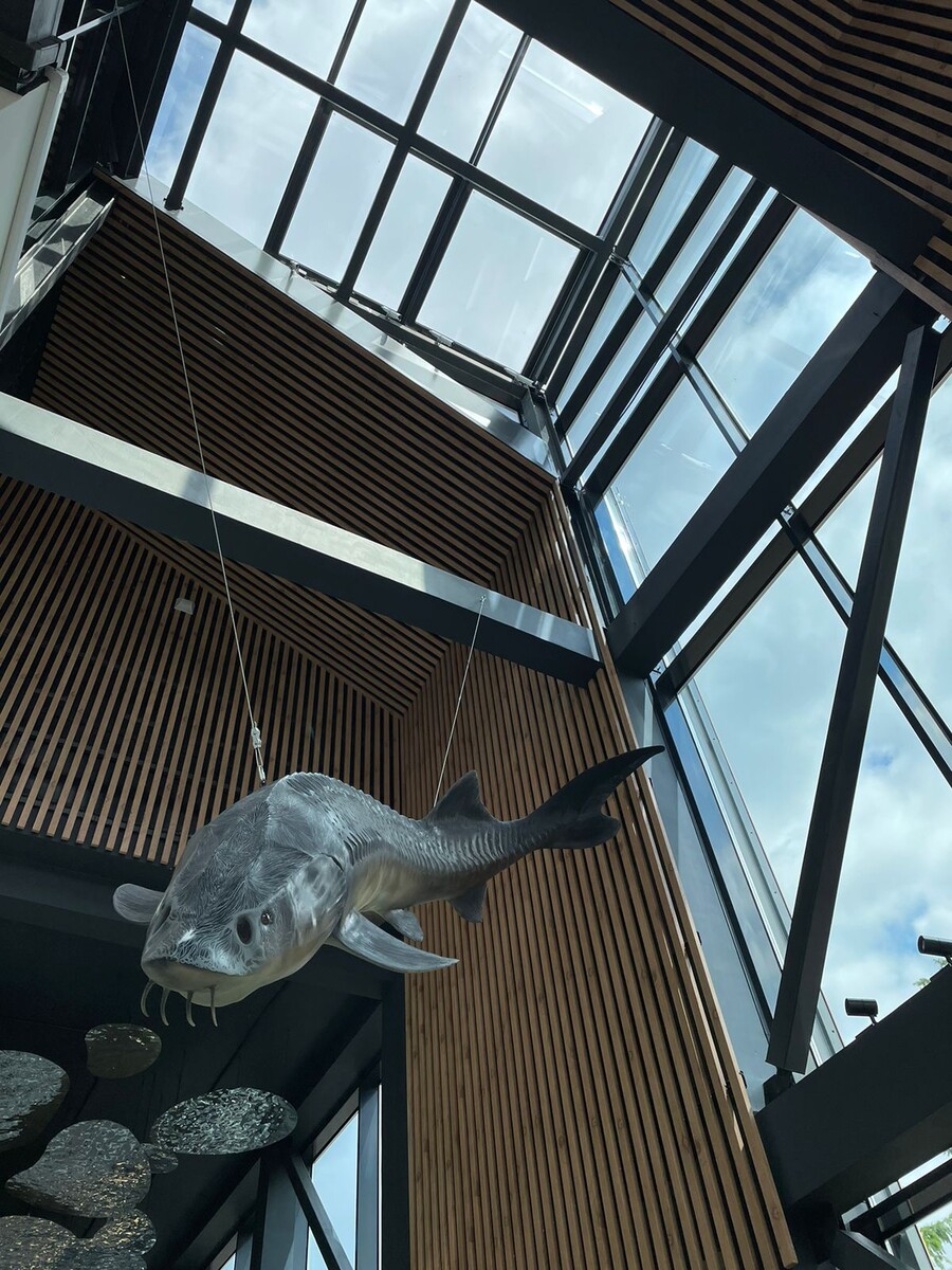 Это висит в коридоре комплекса. Царь-рыба