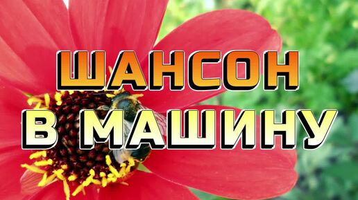 #145. 💎СЛУШАТЬ 🌻 РУССКИЙ ШАНСОН В МАШИНУ 2024 | ЛУЧШИЙ РУССКИЙ ШАНСОН | ШАНСОН 2024