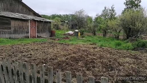 Аборигенка. Сколько времени идти до родителей от моего дома. Жизнь в глубинке. Жизнь в деревне.12.06.24