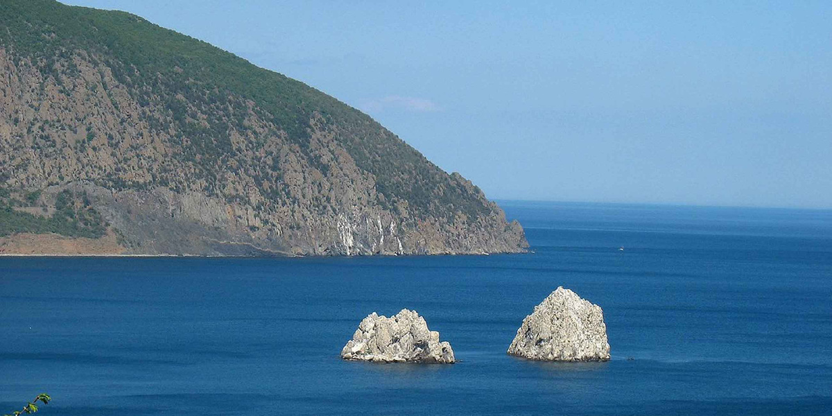 картинка из свободных источников.