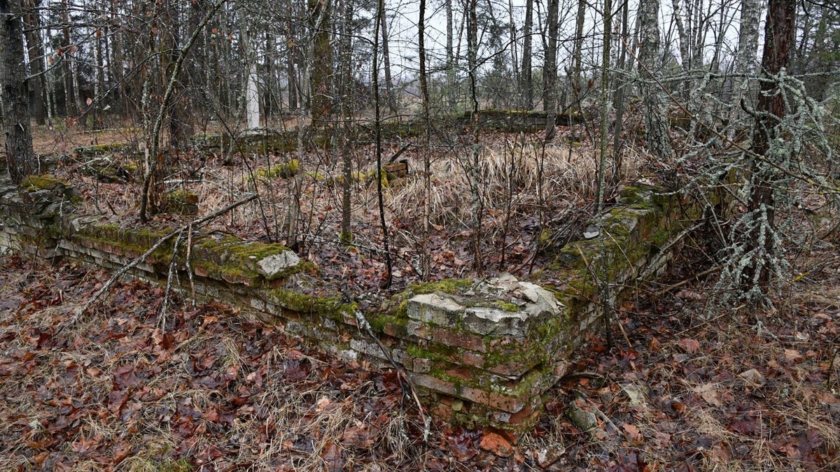 Остатки домов в эксклаве Саньково-Медвежье/ © sputnik.by