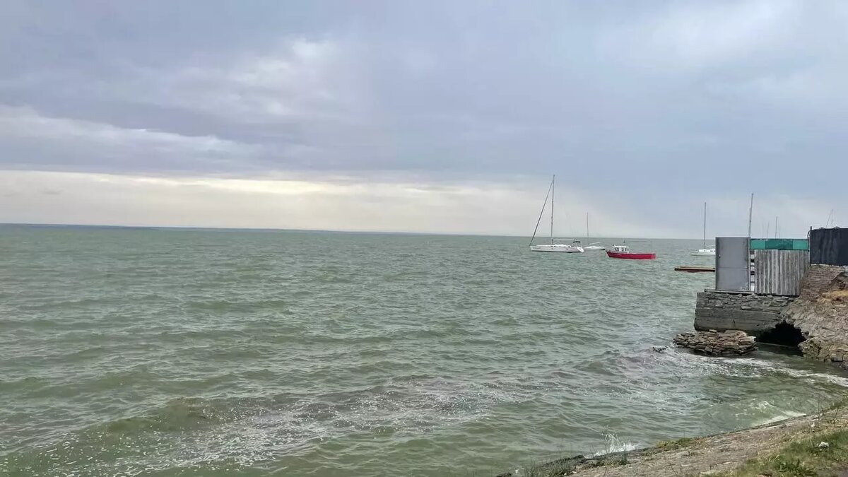     Источник: rostovgazeta.ru