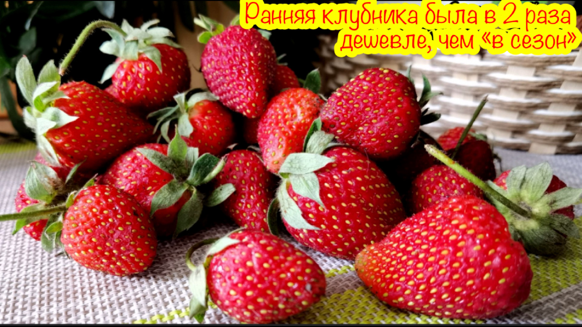 Это Фотография клубники с маминых грядок