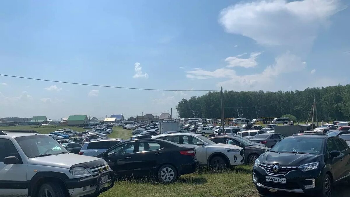     Источник: kursdela.biz