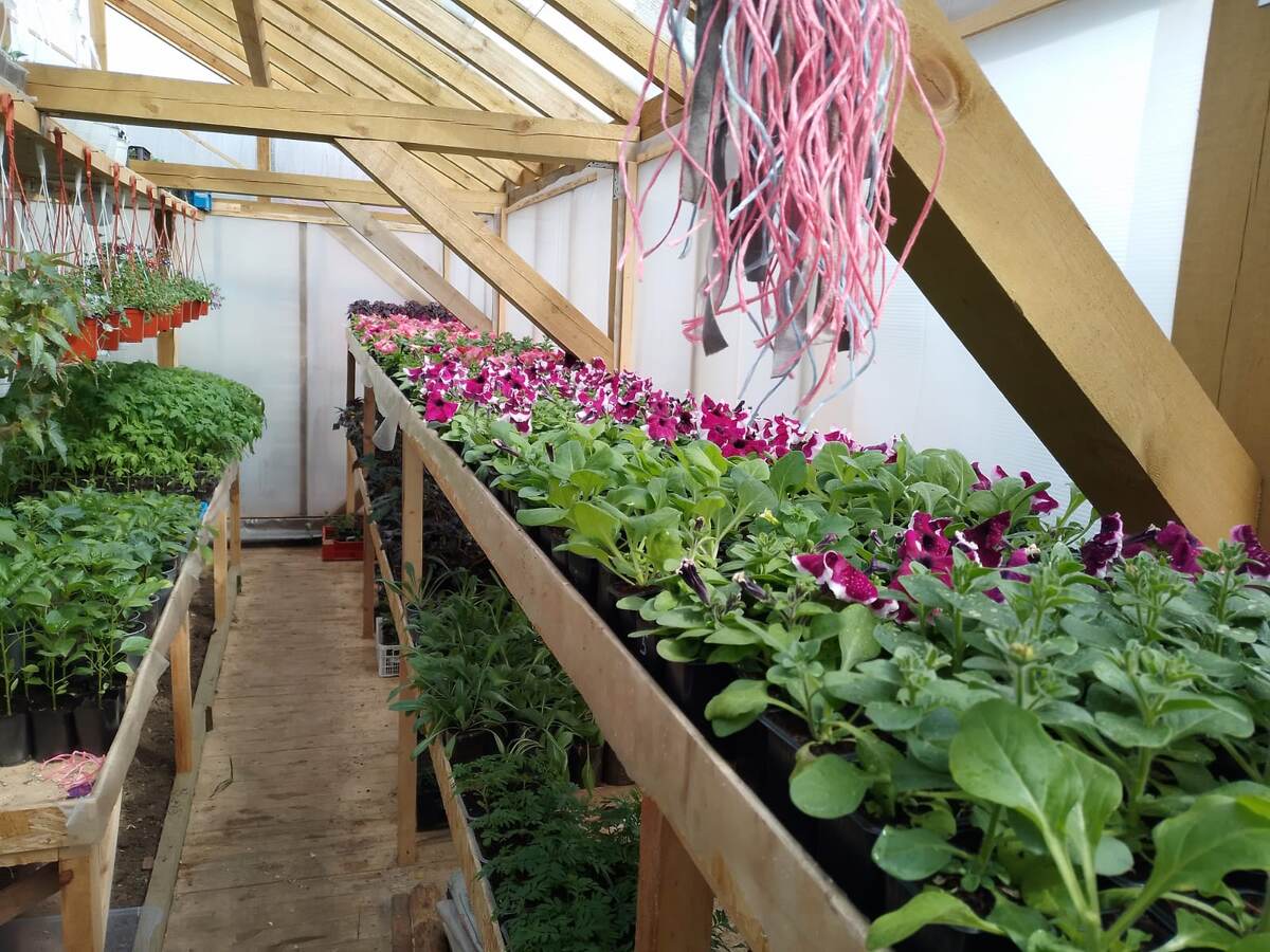 Когда то в начале мая