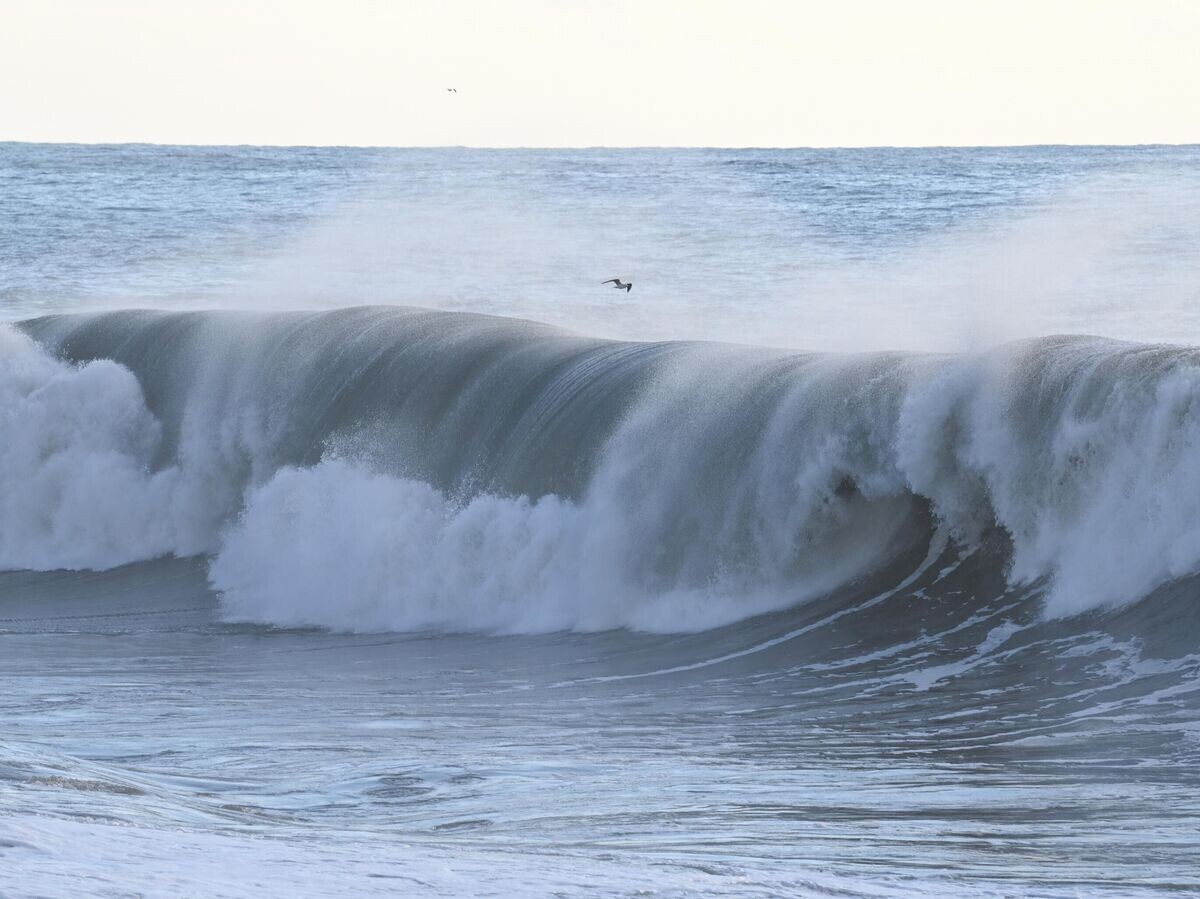   Шторм на Черном море© РИА Новости / Артур Лебедев