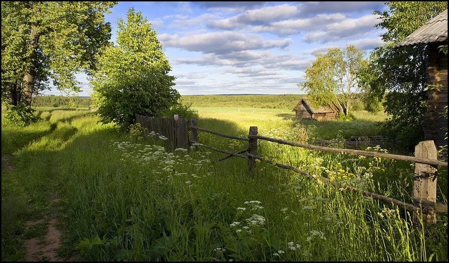 уехала в деревню к родственнице