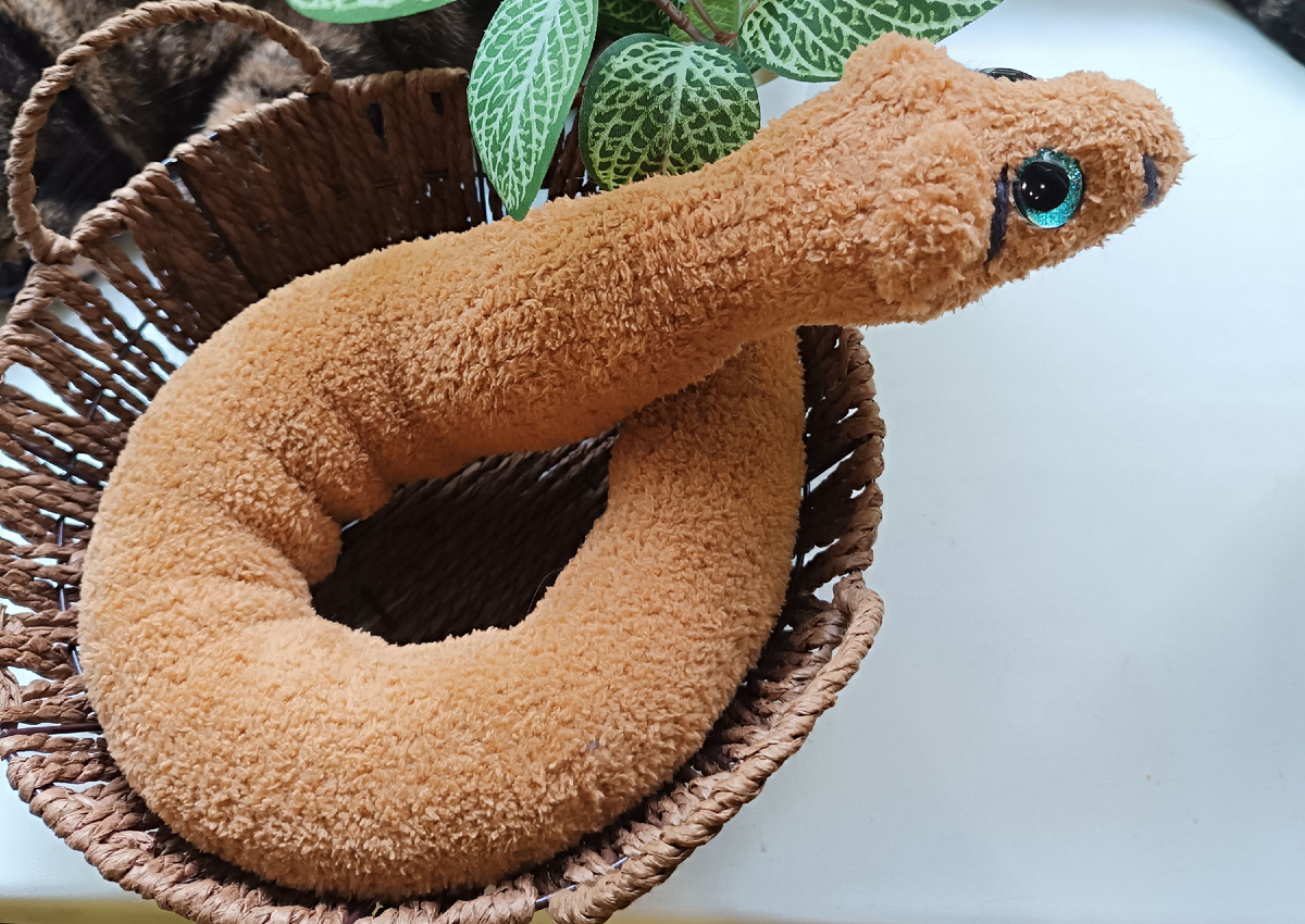 Авторская работа