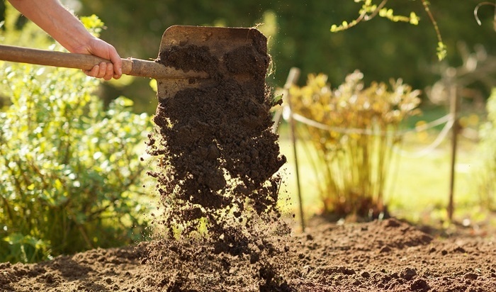    Дачникам назвали самые опасные удобрения