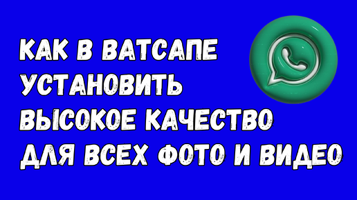 Как В Ватсапе Включить Высокое Качество Для Всех Фото И Видео