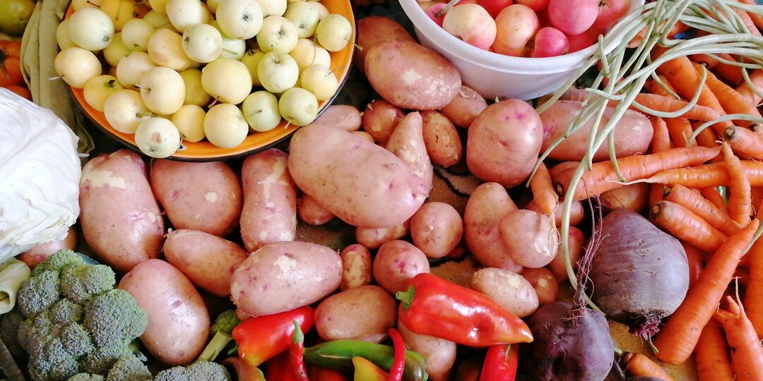 Калий для растений: какие удобрения выбрать, когда и как правильно вносить