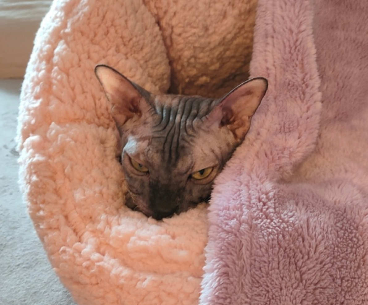 Лишь бы не спалиться…